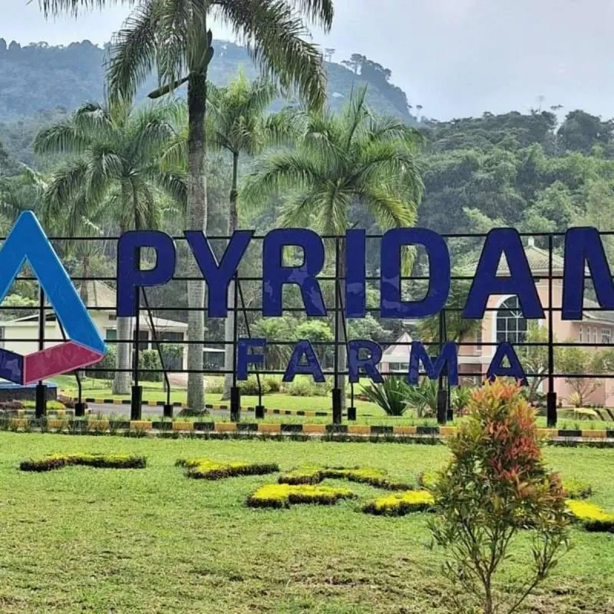 Strategi Efisiensi Berhasil Tekan Kerugian Operasional Pyridam Farma di Semester I 2026