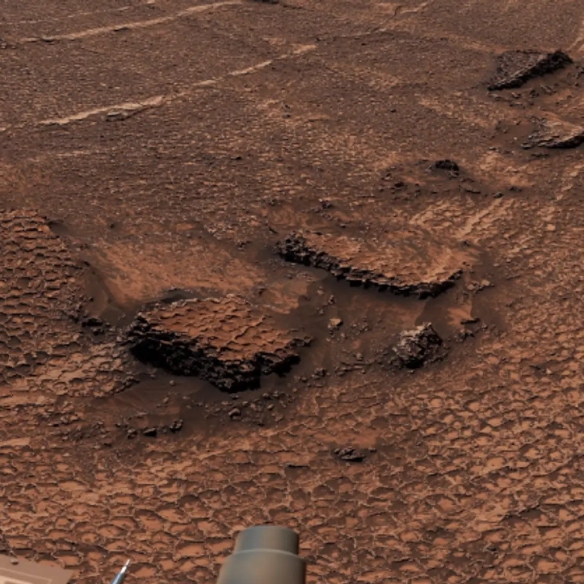 Menelusuri Jejak Geologi Kuno: Penemuan Formasi Poligonal Raksasa di Mars