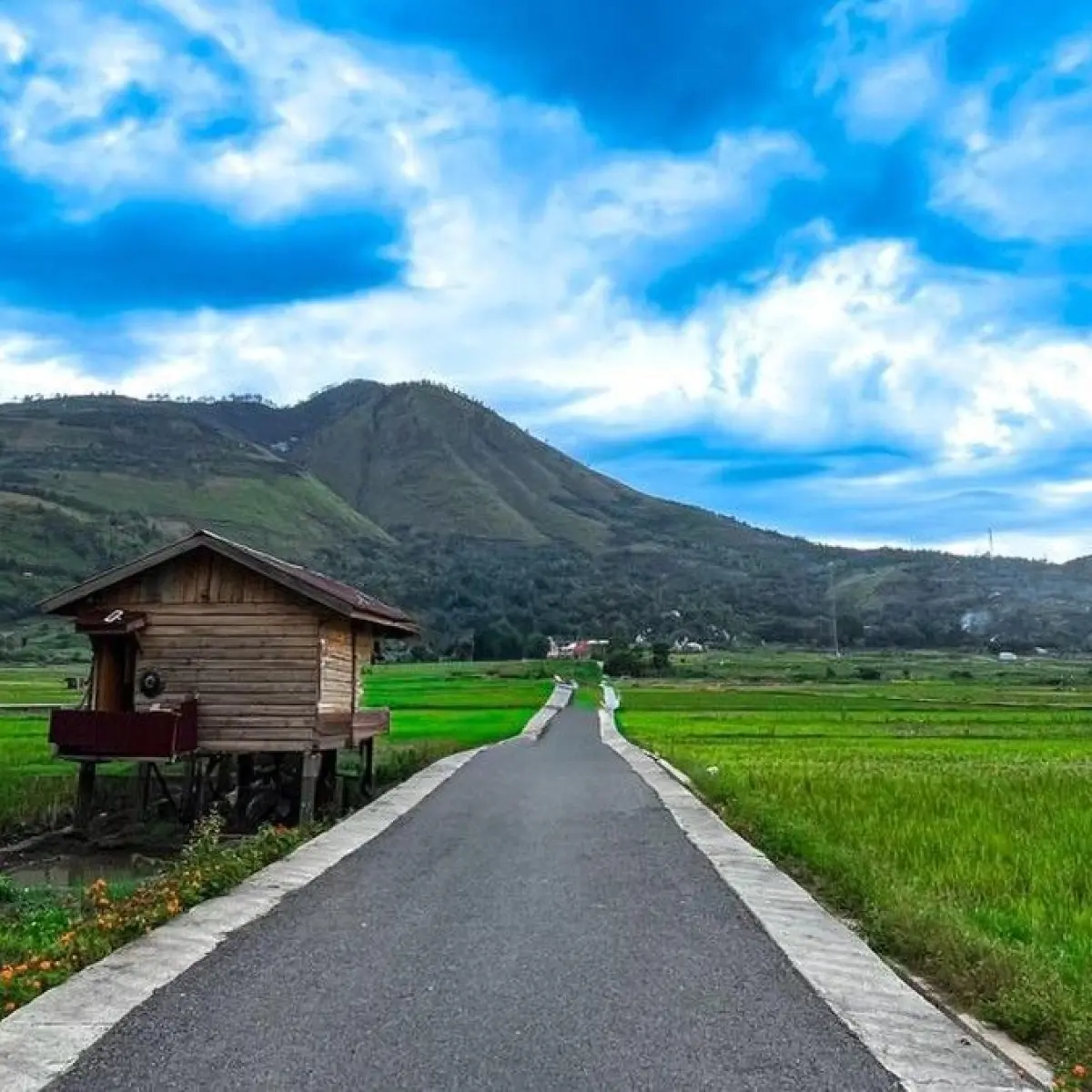 Menjelajahi Pesona Desa Singkam: Destinasi Baru di Samosir yang Instagramable