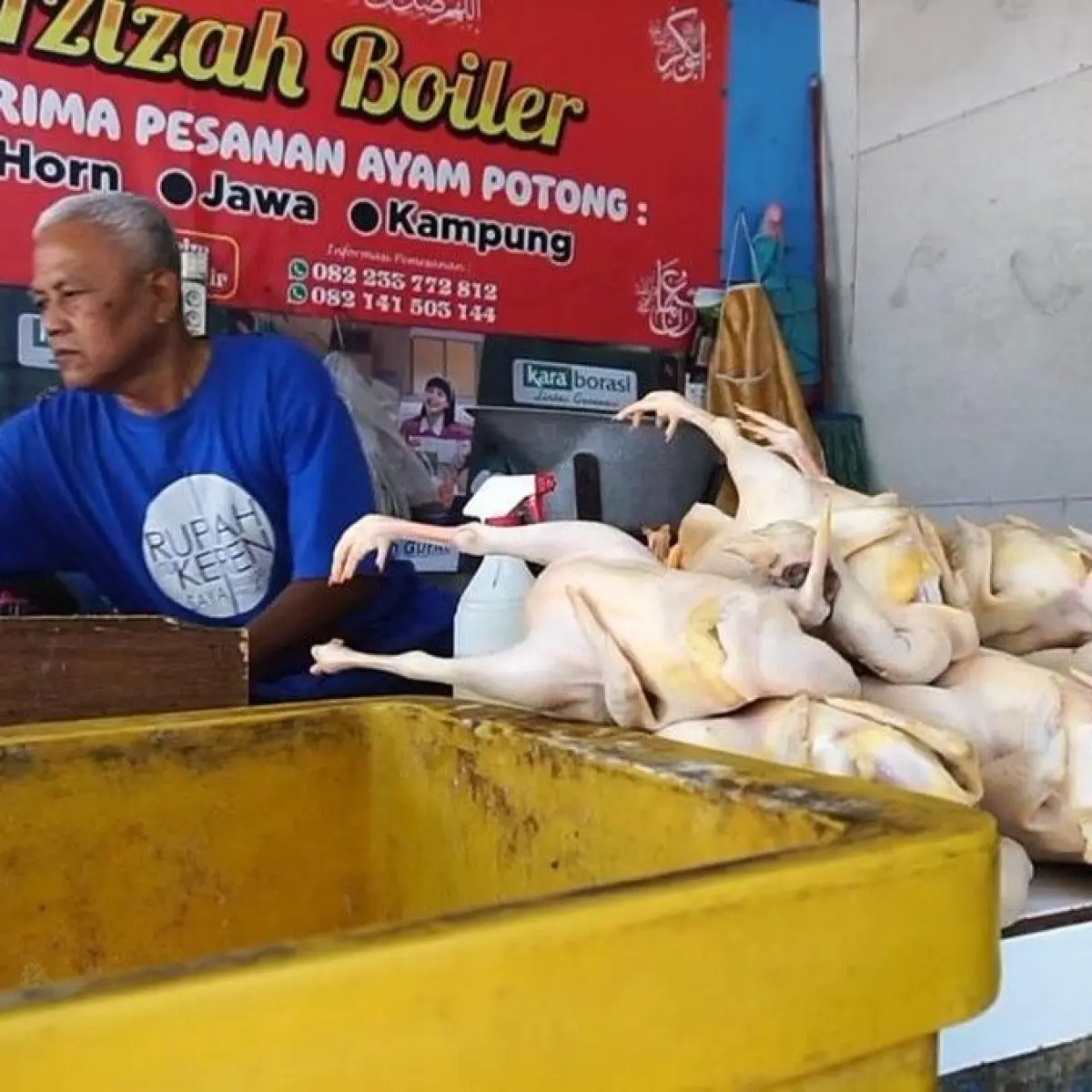 Harga Daging Ayam di Probolinggo Meroket, Pedagang Sebut Permintaan Program Makan Bergizi Jadi Pemicu