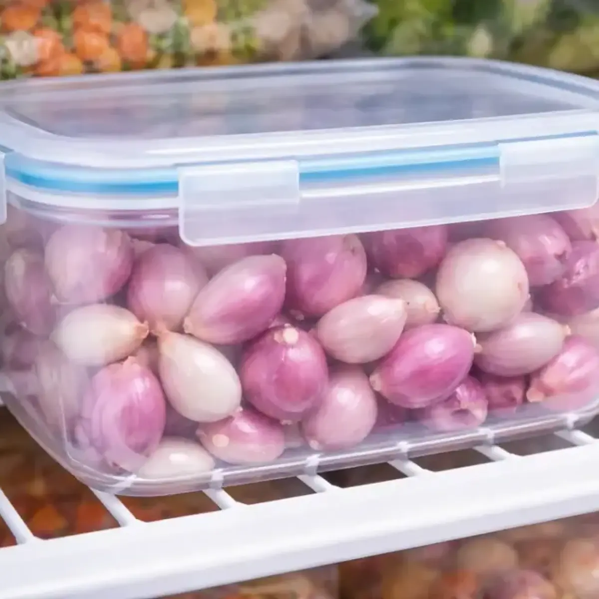 Tips Praktis Menjaga Kesegaran Bawang Kupas Agar Tidak Cepat Busuk
