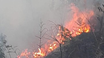 Kebakaran Lahan di Gunung Bromo: Akses Masuk Wisatawan Dibatasi Sementara
