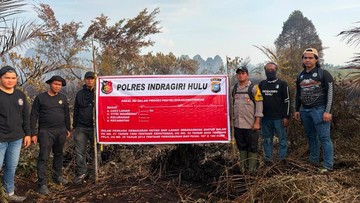 Kasus Pembakaran 5 Hektare Hutan di Inhu: Perkembangan Terkini dan Langkah Penindakan Polisi