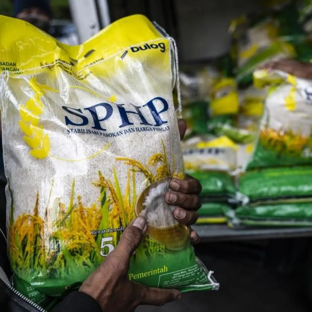 Pasokan Pangan Program Makan Bergizi Gratis Dipastikan Pakai Komoditas Premium Nonsubsidi