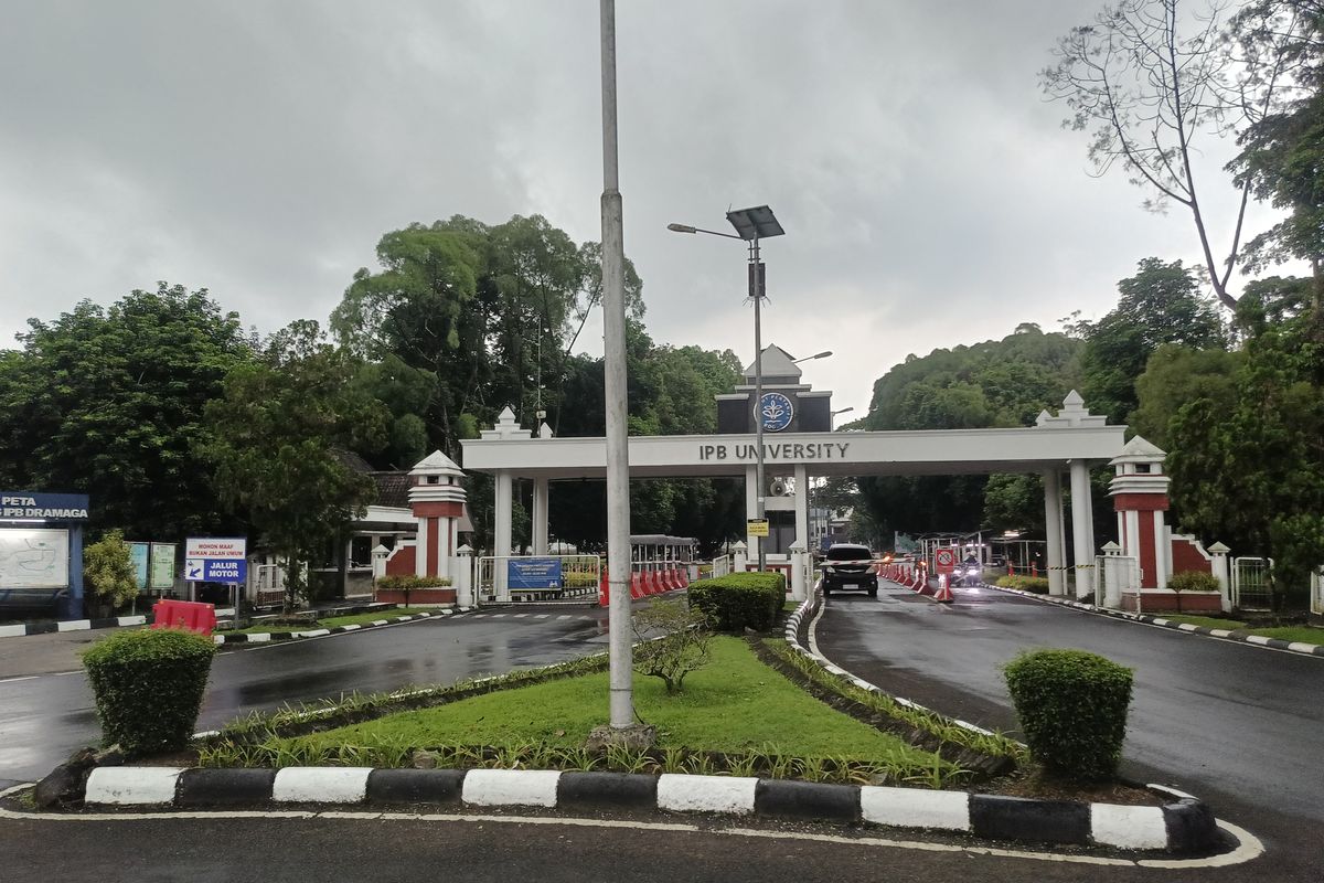 Prestasi Akademik Mahasiswa KIP Kuliah IPB University Raih Rata-rata IPK 3,34