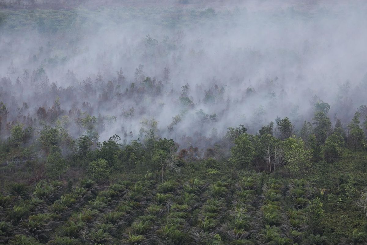 Bencana Ganda: Karhutla Mengganas, Kayong Utara Dilanda Kekeringan Air