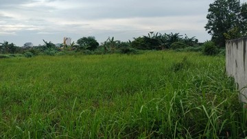 Lahan milik Komdigi dan RRI di Depok. Foto: Sekar Aqillah Indraswari