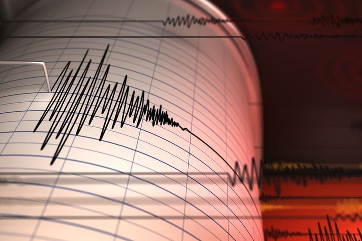 Getaran Landa Jepara: Gempa M 5,0 Dirasakan Hingga Demak dan Batang
