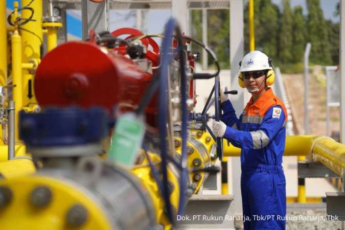 Menilik Penguatan Portofolio Investasi Norwegia di PT Rajawali Nusantara Indonesia Pasca Stock Split