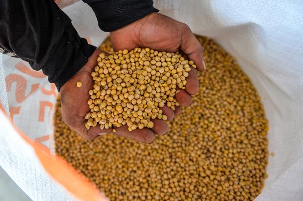 Lonjakan Harga Pangan Global Capai Puncak Tiga Tahunan, El Nino dan Konflik Jadi Biang Kerok