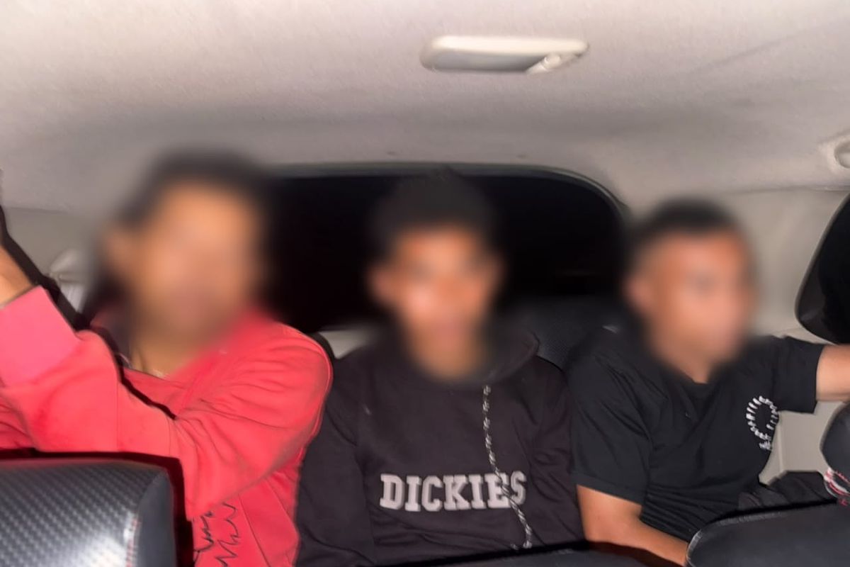 Tiga Warga Manggarai Barat Ditetapkan Tersangka Kasus Pembakaran Burung Hantu Hidup
