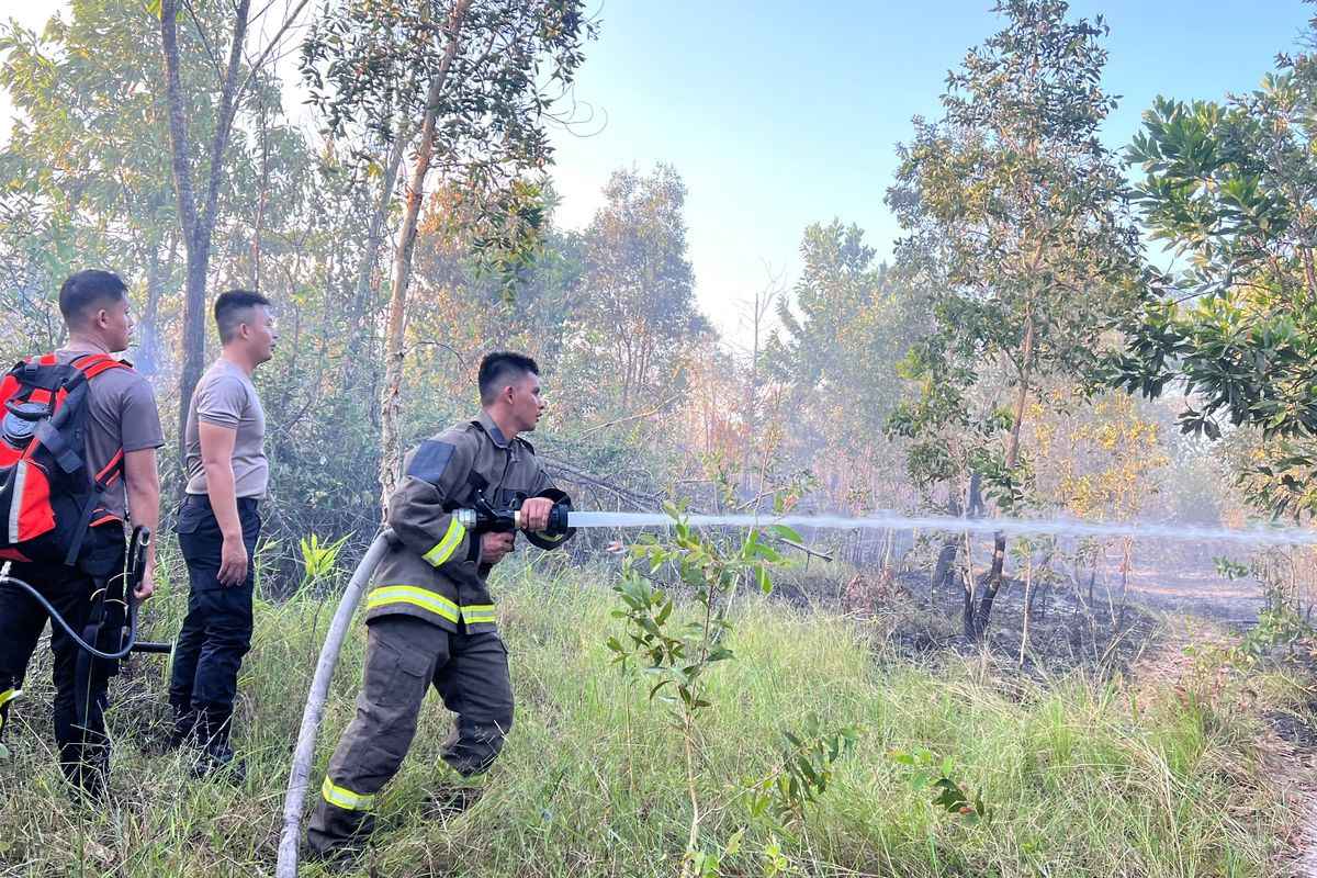 Pangkalpinang Terus Dilanda Kebakaran Lahan, 26 Kasus Terjadi dalam 2 Pekan