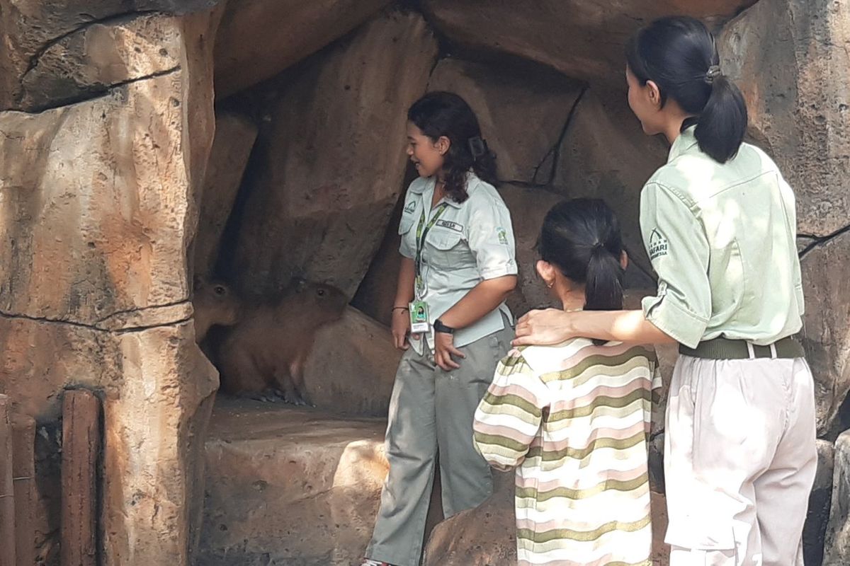Solo Safari Sambut Anggota Baru: Capybara dari Batang dan Kura-kura dari Jajaran Petinggi Negara