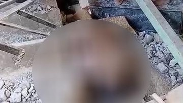 Ibu dan Dua Anak Meninggal Dunia Akibat Gempa di Manggarai Timur, Kesedihan Menyayat Hati