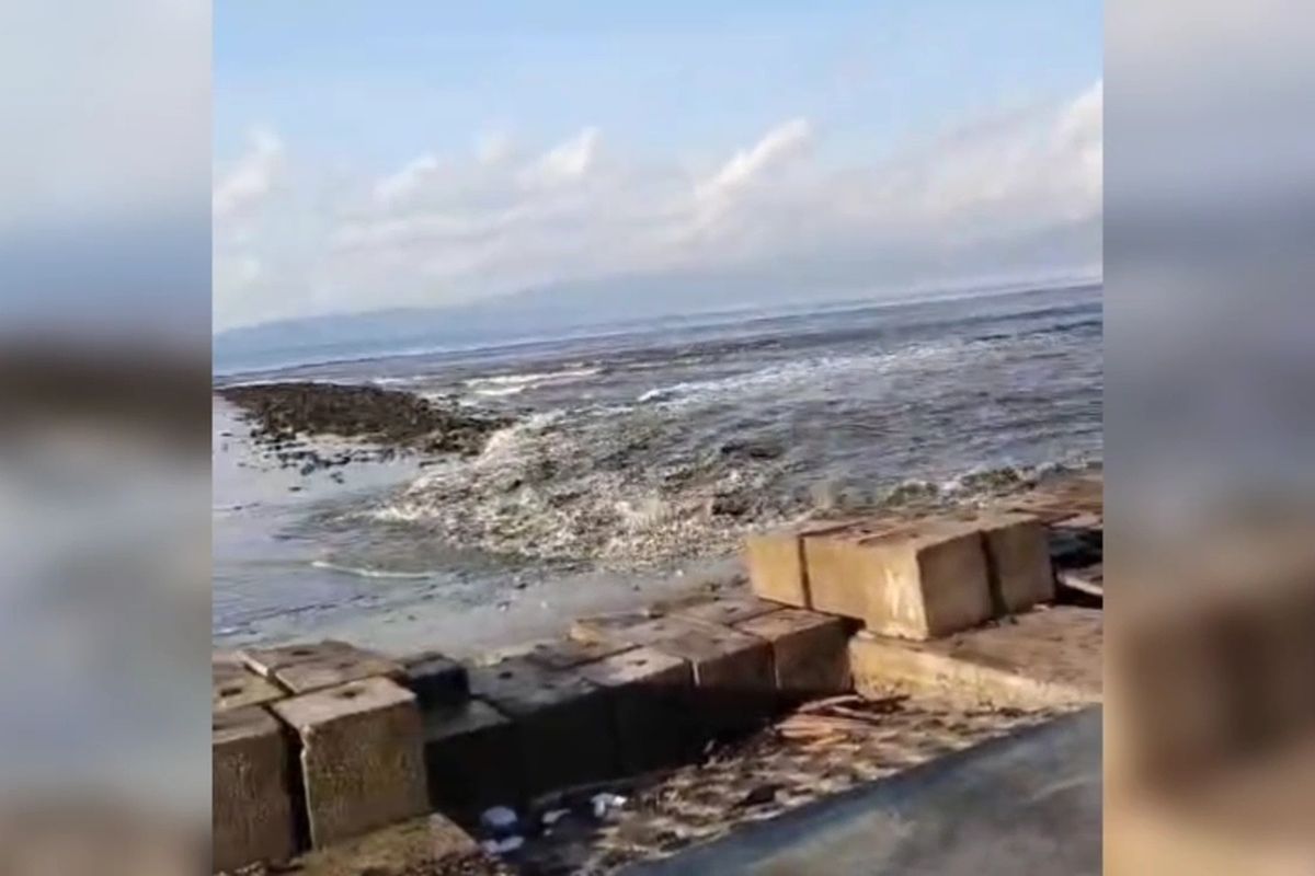 Guncangan Dahsyat M7,7 Guncang NTT, Kesiapsiagaan Tsunami Diberlakukan di Pesisir Buton