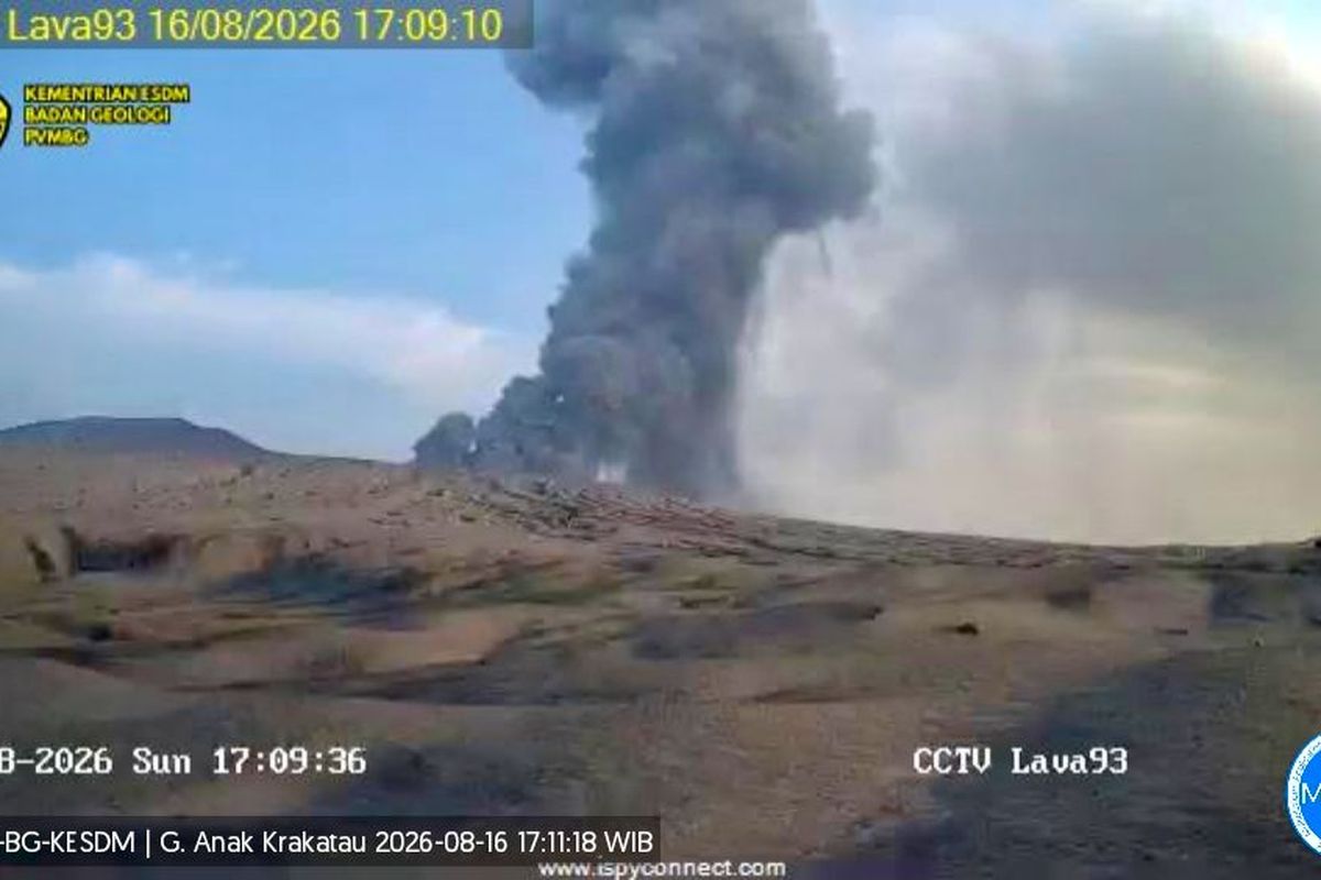 Aktivitas Vulkanik Gunung Anak Krakatau Meningkat Tajam, Empat Kali Letusan dalam Sehari