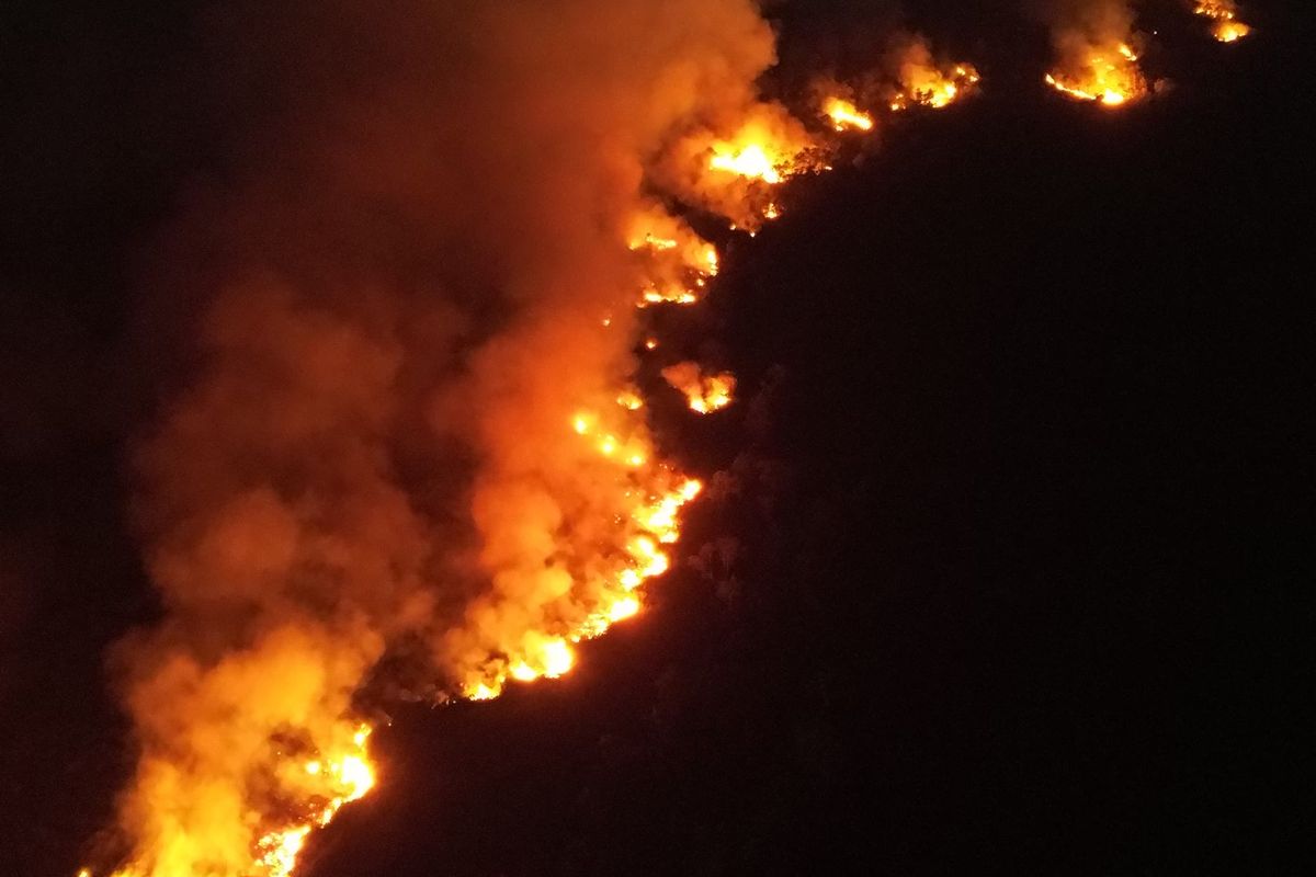 Kebakaran Lahan Gambut di Kutai Kartanegara Meluas, 100 Hektare Terbakar Akibat Medan Sulit